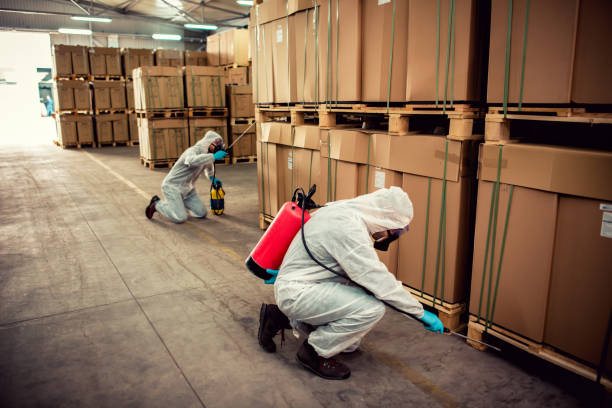 Best Termite Control Services  in Washingtonville, NY