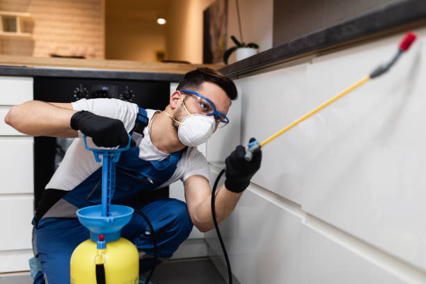 Best Rat Extermination Near Me  in Washingtonville, NY