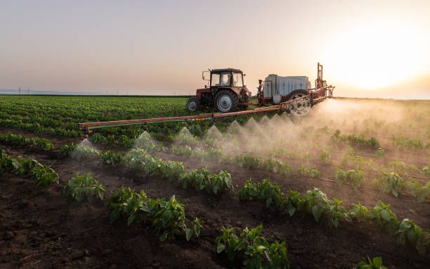 Best Pest Control Cost  in Washingtonville, NY