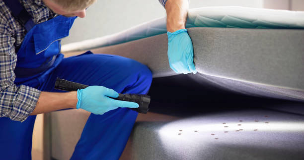 Best Emergency Pest Control  in Washingtonville, NY