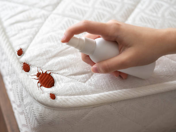 Best Best Pest Control Companies  in Washingtonville, NY