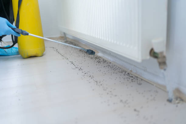 Best Pest Removal Services  in Washingtonville, NY